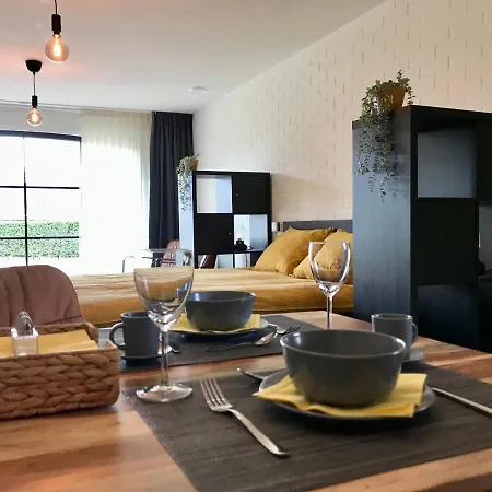 Moderne studio in hèt wandel- en fietsland Twente Markelo Extérieur photo